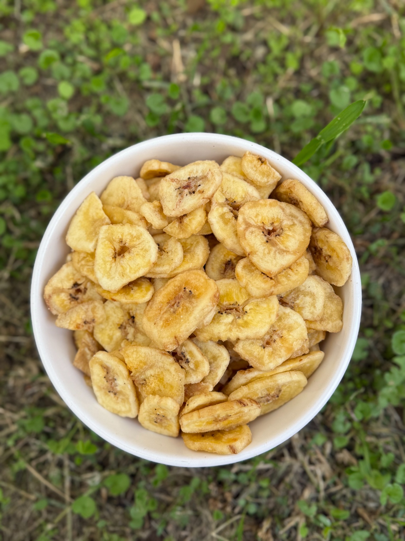 Banana chips en un bowl